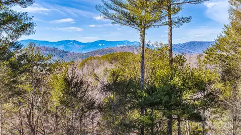 950 Black Forest Dr, Marion, NC 28752 photo 2