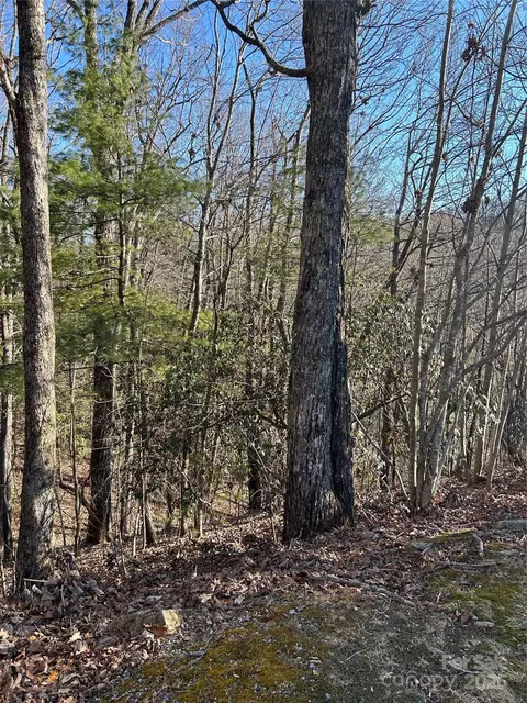 210 Thistlewynd Trl, Hendersonville, NC 28739