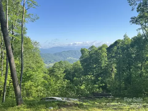 0000 W Garden Lot 65 Trl #LOT 65, Hendersonville, NC 28792