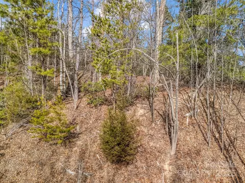 Deep Gap Farm E Road, Mill Spring, NC 28756 photo 6