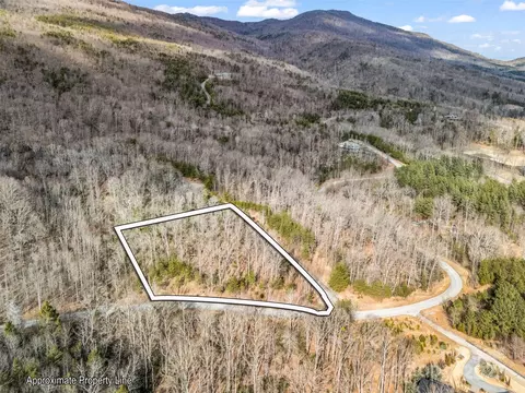 Deep Gap Farm E Road, Mill Spring, NC 28756 photo 2