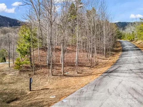 Deep Gap Farm E Road, Mill Spring, NC 28756 photo 5