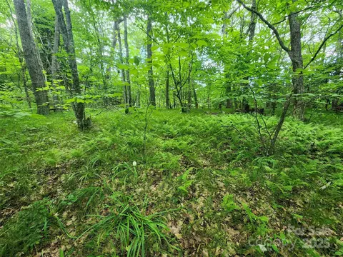 99999 Spruce Patch Ln, Sylva, NC 28779 photo 10
