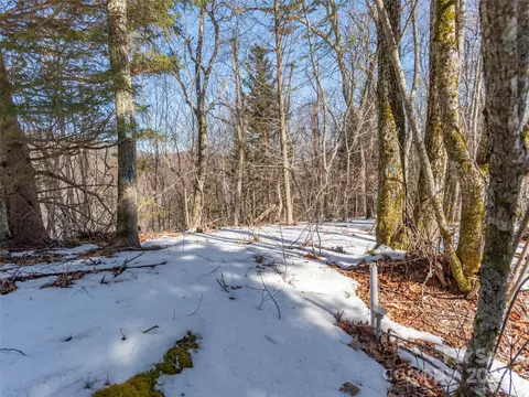99999 Spruce Patch Ln, Sylva, NC 28779 photo 2