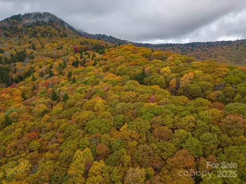 99999 Spruce Patch Ln, Sylva, NC 28779 photo 12