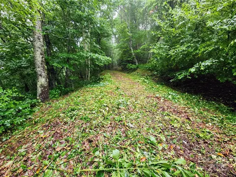 99999 Spruce Patch Ln, Sylva, NC 28779 photo 7