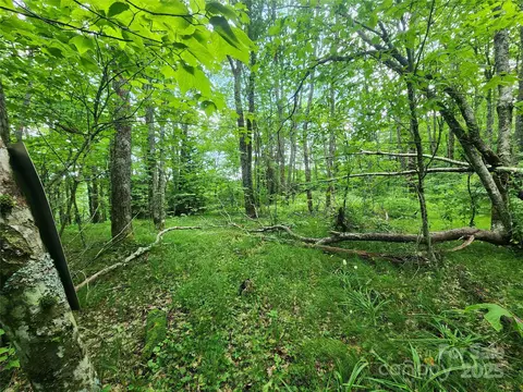 99999 Spruce Patch Ln, Sylva, NC 28779 photo 9