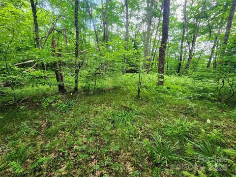 99999 Spruce Patch Ln, Sylva, NC 28779 photo 4