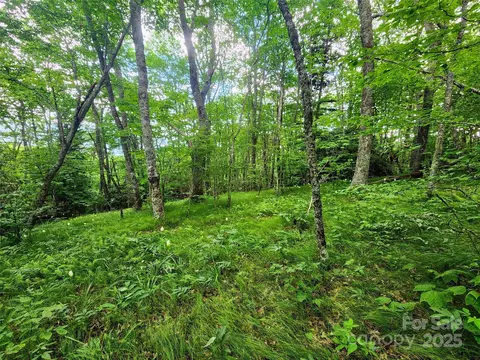 99999 Spruce Patch Ln, Sylva, NC 28779 photo 5