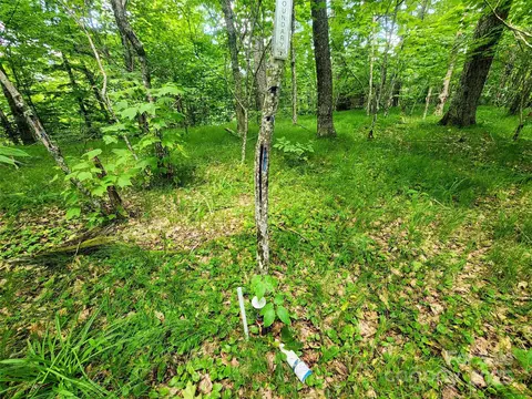 99999 Spruce Patch Ln, Sylva, NC 28779 photo 11