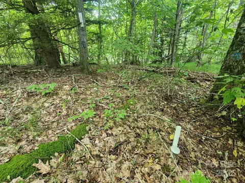 99999 Spruce Patch Ln, Sylva, NC 28779 photo 8