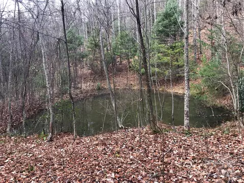 Casey Mountain 222b Road #222B, Purlear, NC 28665 photo 11