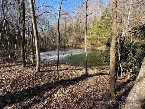 Casey Mountain 222b Road #222B, Purlear, NC 28665