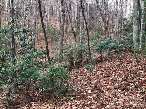 Casey Mountain 222b Road #222B, Purlear, NC 28665 photo 15