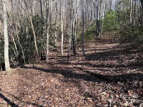 Casey Mountain 222b Road #222B, Purlear, NC 28665 photo 5