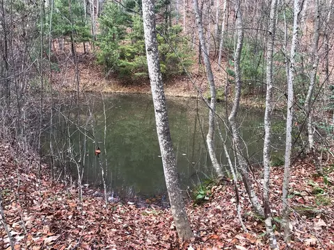 Casey Mountain 222b Road #222B, Purlear, NC 28665 photo 14