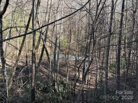 Casey Mountain 222b Road #222B, Purlear, NC 28665 photo 20