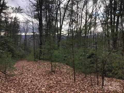Casey Mountain 222b Road #222B, Purlear, NC 28665 photo 2