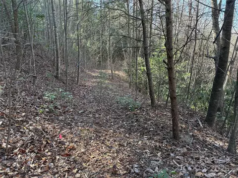 Casey Mountain 222b Road #222B, Purlear, NC 28665 photo 6