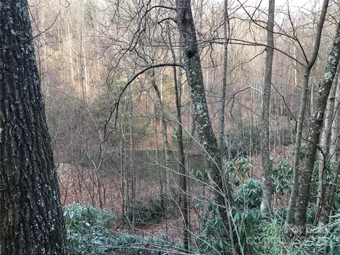 Casey Mountain 222b Road #222B, Purlear, NC 28665 photo 9