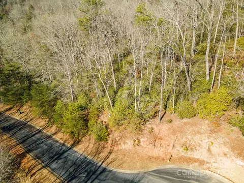 99999 Caddis 92 Ln #92, Horse Shoe, NC 28742