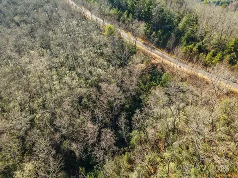 99999 Mills River 108 Way #108, Horse Shoe, NC 28742
