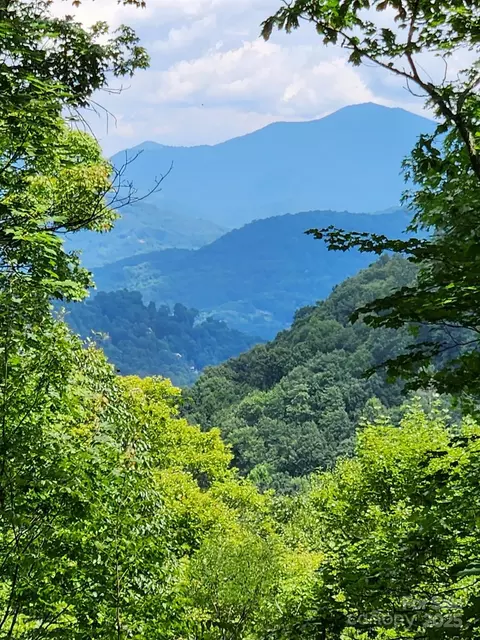 43 Blackbird 43 Part 44 Ln #43 & PART 44, Maggie Valley, NC 28751