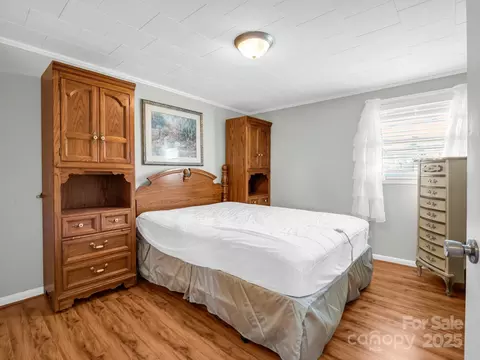 32 Manus Chapel Rd, Mill Spring, NC 28756 photo 20