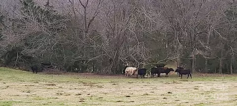 Willie Usher Road, Lancaster, SC 29720 photo 8