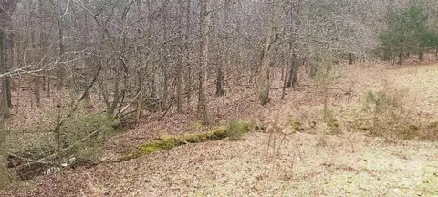 Willie Usher Road, Lancaster, SC 29720 photo 32