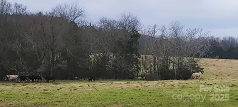 Willie Usher Road, Lancaster, SC 29720 photo 16