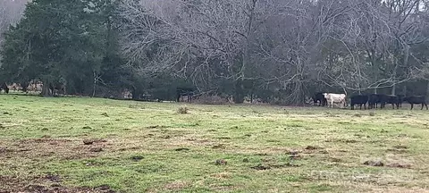 Willie Usher Road, Lancaster, SC 29720 photo 5