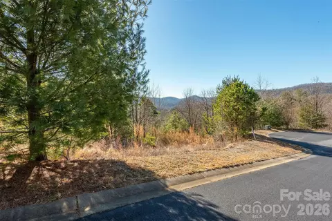 99999 Woodhen 138 139 Way #138 & 139, Horse Shoe, NC 28742