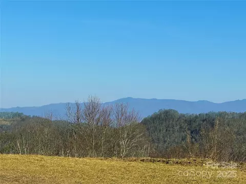 Other - Baker Branch Lane, Marshall, NC 28753 photo 8 of 20