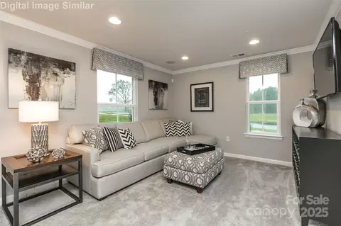 437 Srnity Cir #E, Cramerton, NC 28032 photo 17