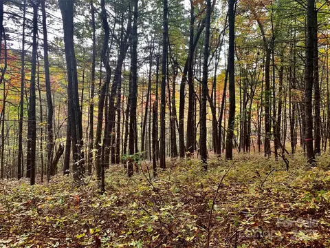 888 Cardinal Rd, Brevard, NC 28712