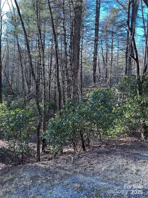 L72 Salola Lane, Brevard, NC 28712
