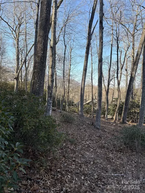 000 Fairway 6 Loop #6, Burnsville, NC 28714