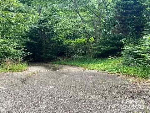 771 Bishop Ln, Mill Spring, NC 28756 photo 6