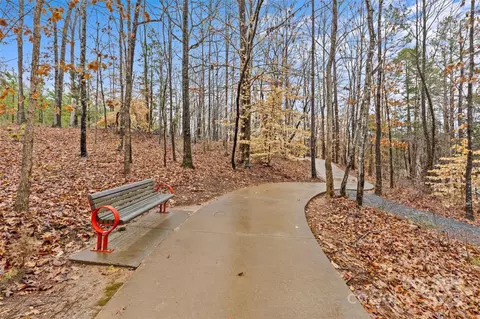 4633 Mount Rainer Pl, Lancaster, SC 29720 photo 32