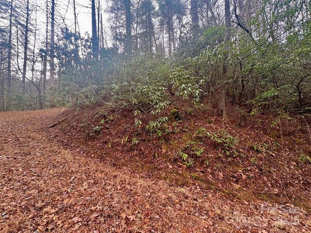 0 Indian Rock 7ab Ln #7A&B, Bryson City, NC 28713