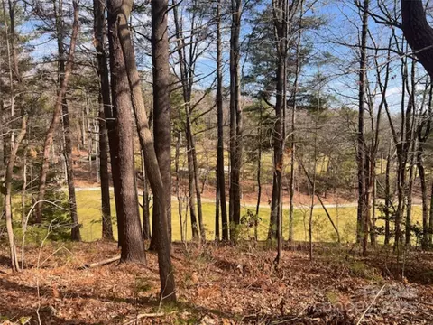 121 Bobby Jones 48 Dr #48, Hendersonville, NC 28739