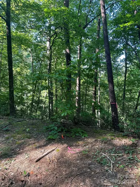 0 Falcons 14 Ave #14, Lake Lure, NC 28746