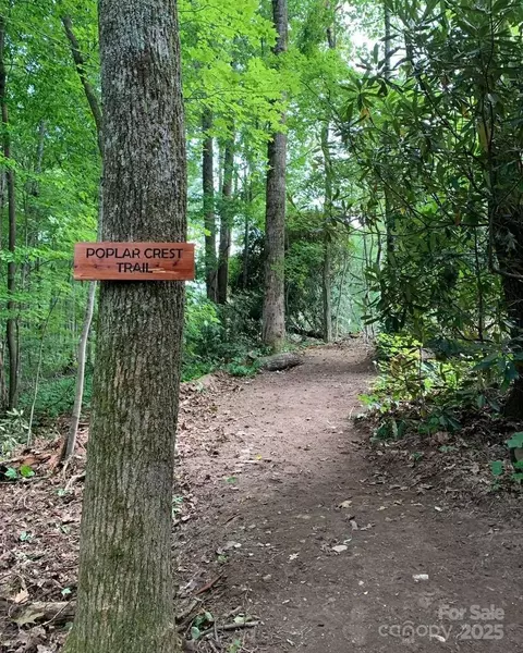 00 Laurel Ledge 19 Way #19, Fletcher, NC 28732 photo 3