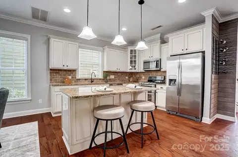 13527 Davidson Place Dr, Davidson, NC 28036 photo 9