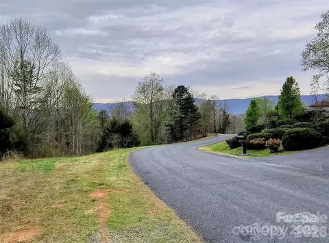 Lake Adger Parkway, Mill Spring, NC 28756 photo 11