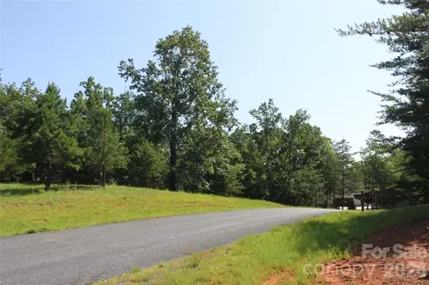 Lake Adger Parkway, Mill Spring, NC 28756 photo 5