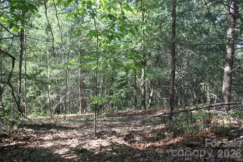 Lake Adger Parkway, Mill Spring, NC 28756 photo 8