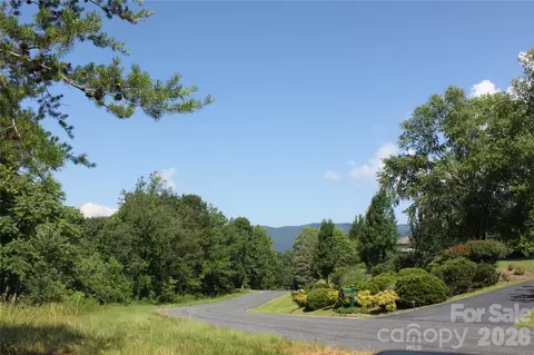 Lake Adger Parkway, Mill Spring, NC 28756 photo 3