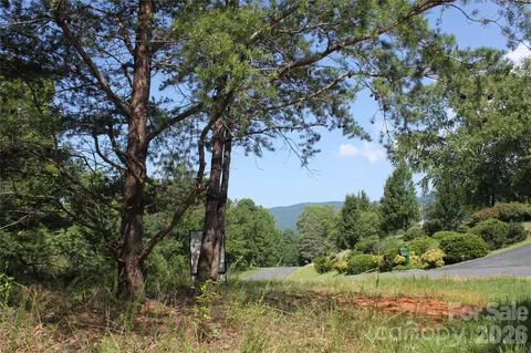 Lake Adger Parkway, Mill Spring, NC 28756 photo 6